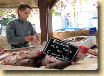Normandy Calvados Grandcamp Fish Market
