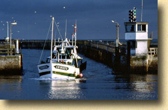 Normandy Calvados Grandcamp Port