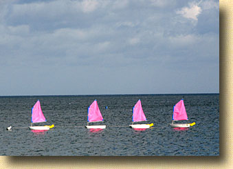 Normandy Calvados Grandcamp Beach